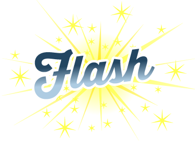 Flash-graphic2015