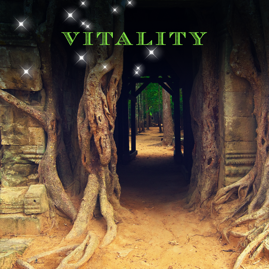 Door of Vitality