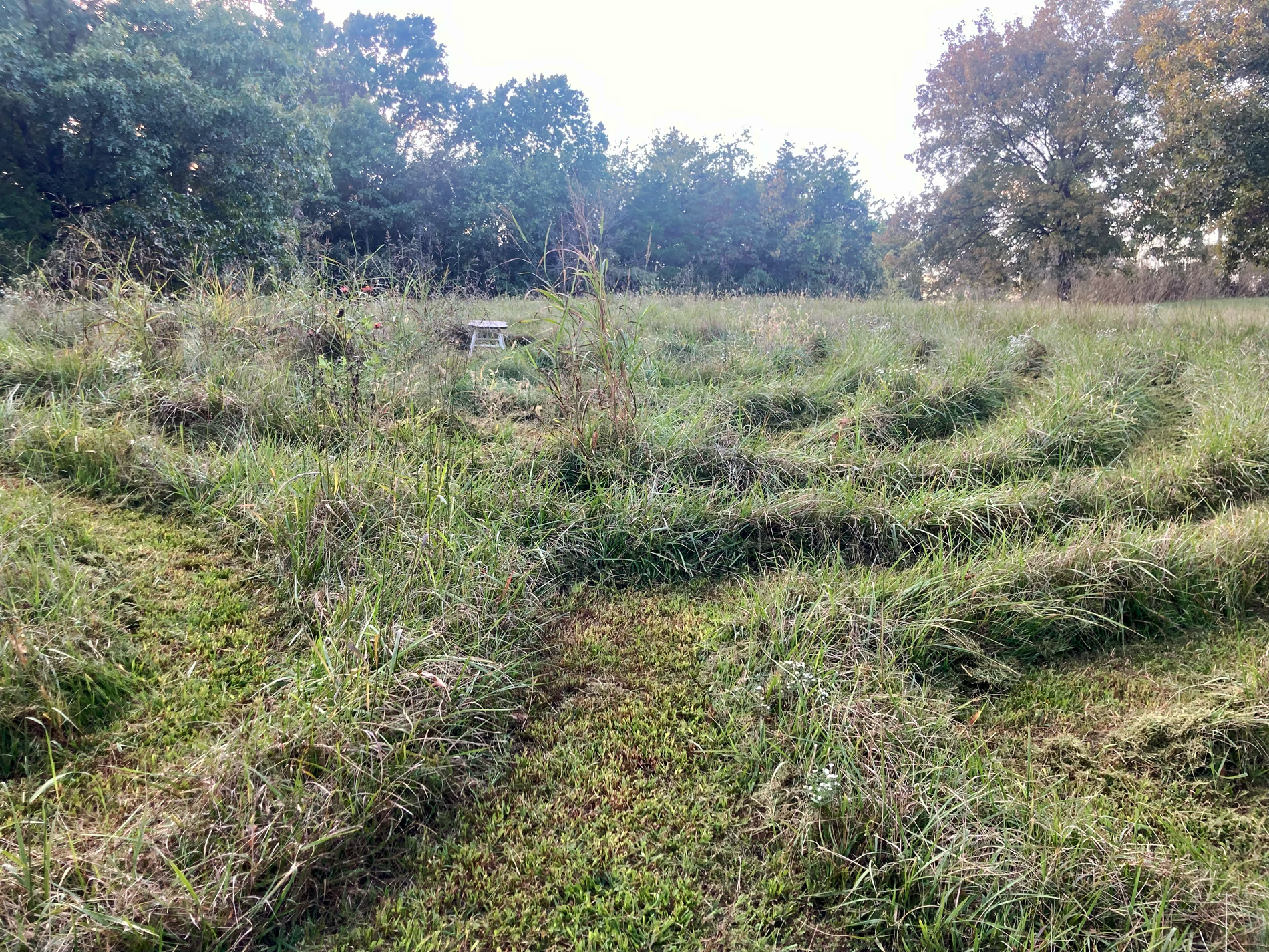 a labyrinth mowed into a green field