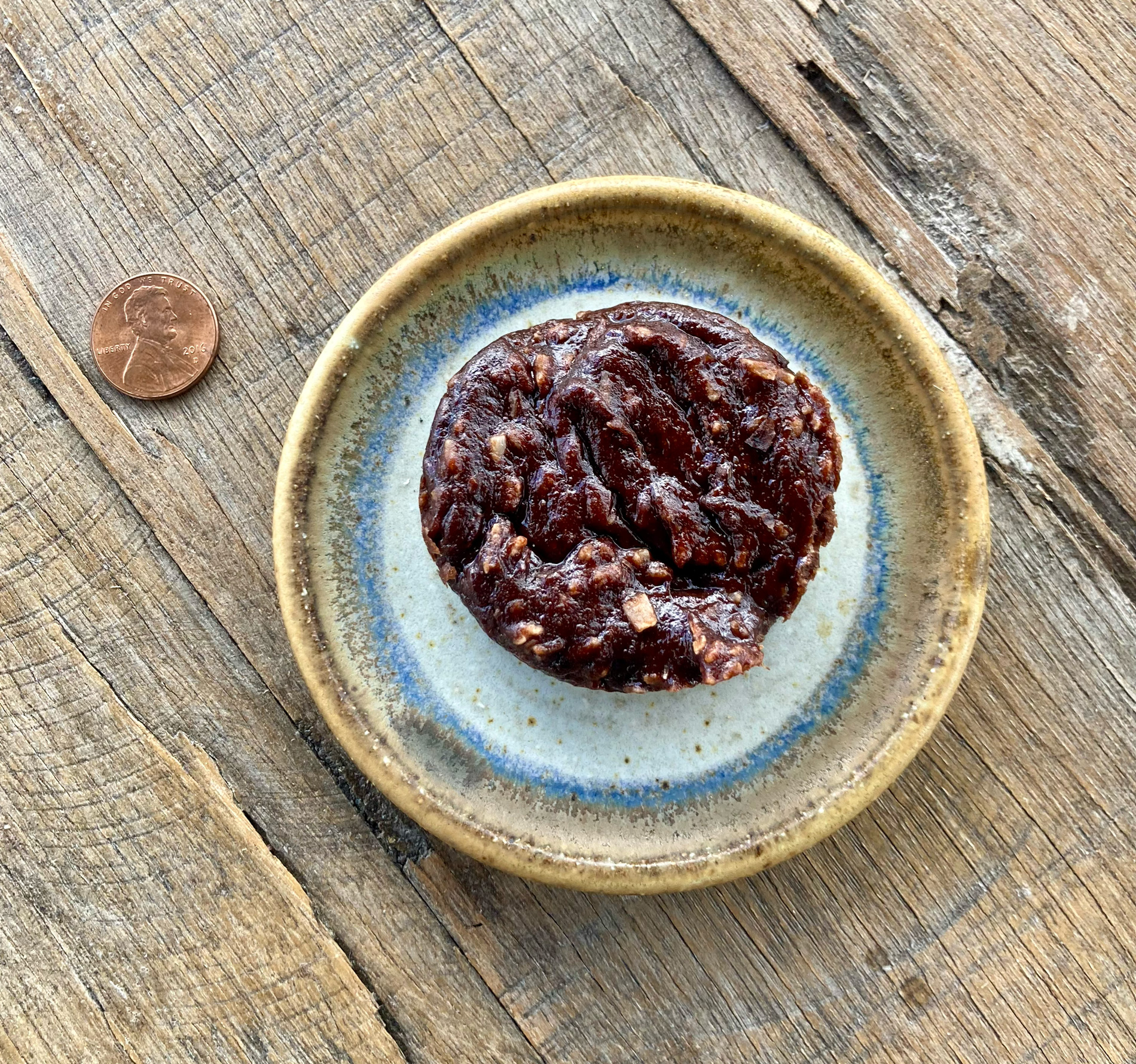 the tiniest chocolate muffin on a tiny ceramic plate, with a penny for scale, the penny being about an eighth of the muffin