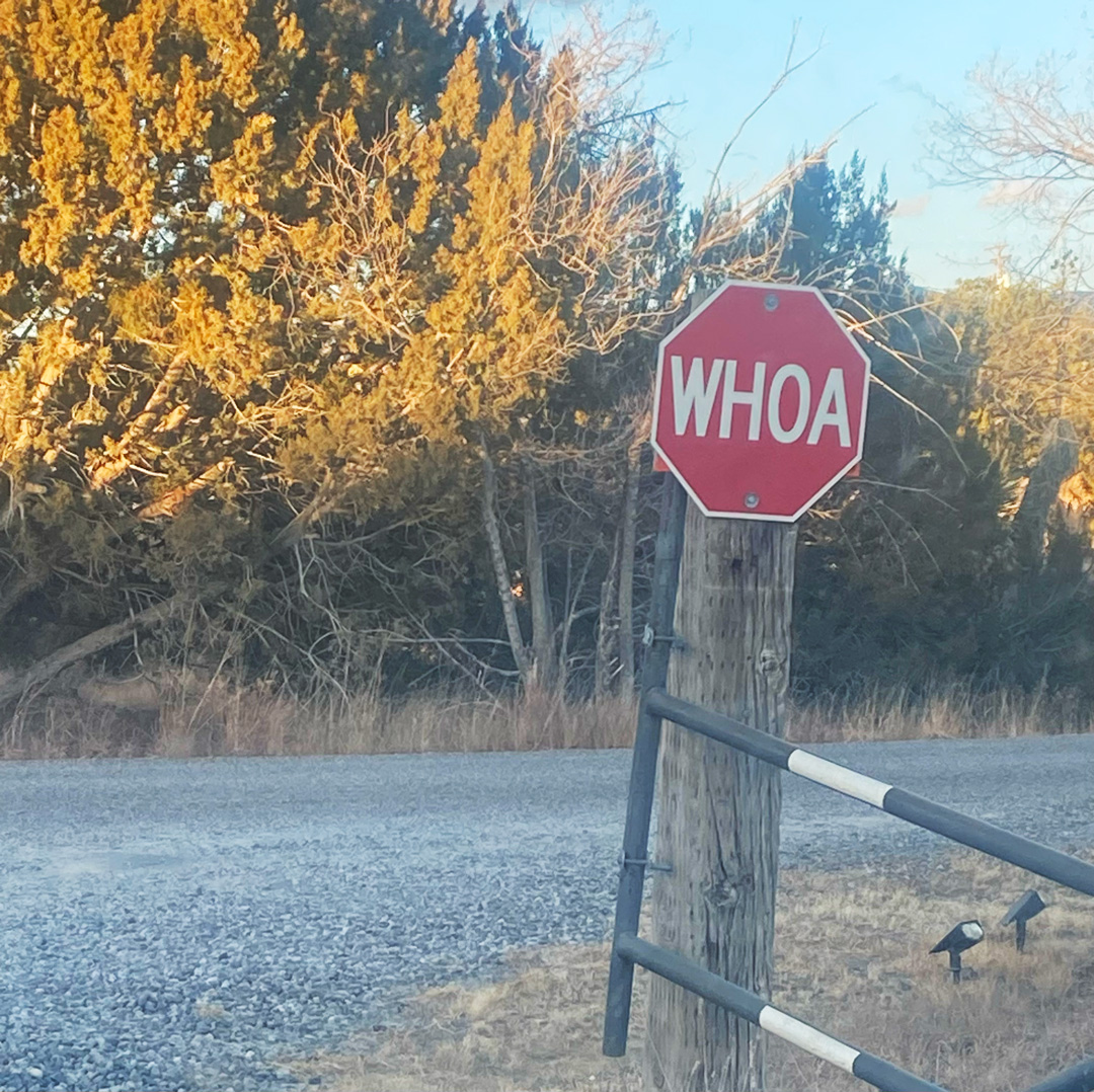 a red American-style stop sign says WHOA, possibly for horse riders, unless horses can read”/></p>
<div class=