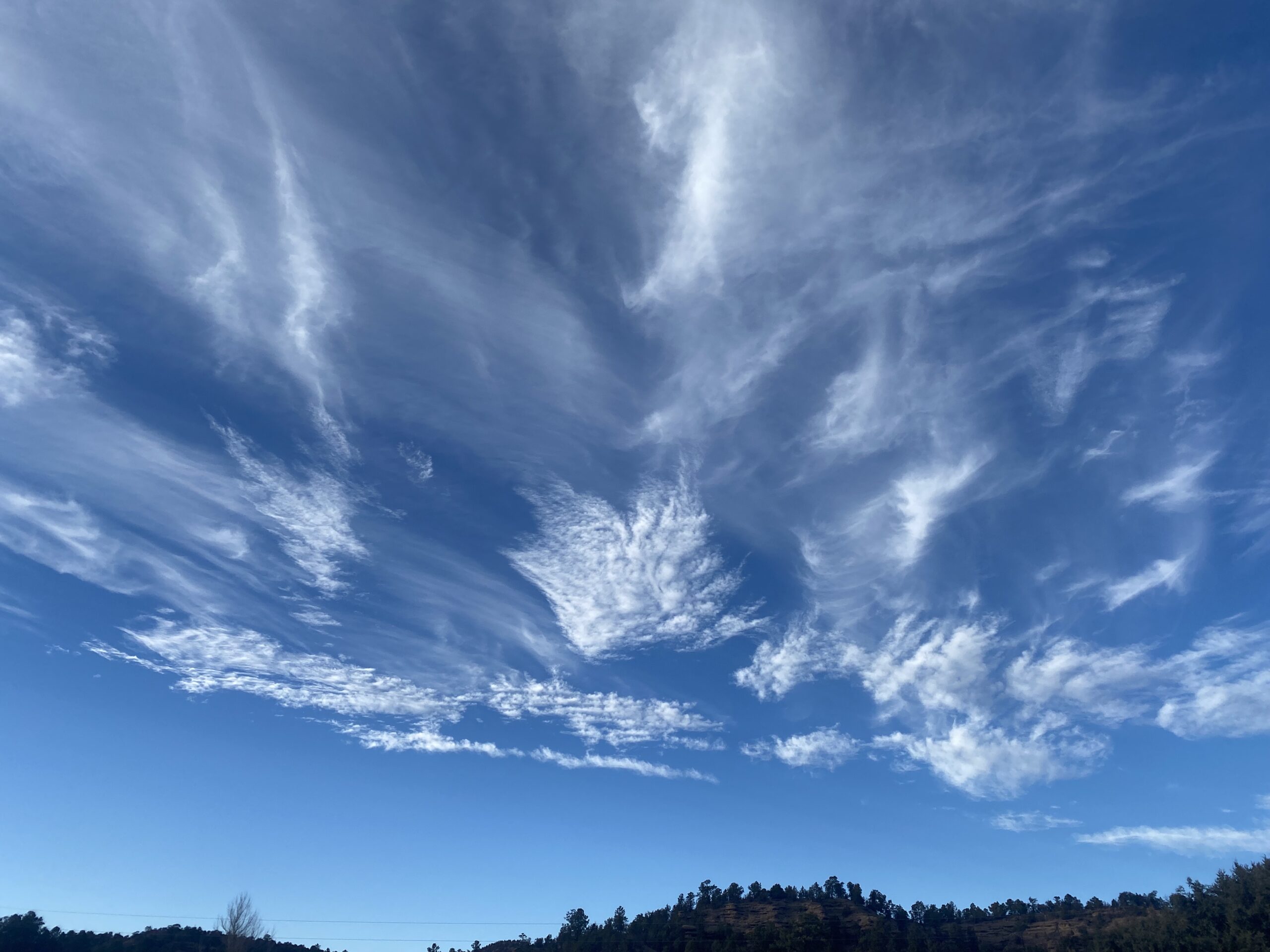 the sky pretending to be a flock of wild birds using cloud shapes