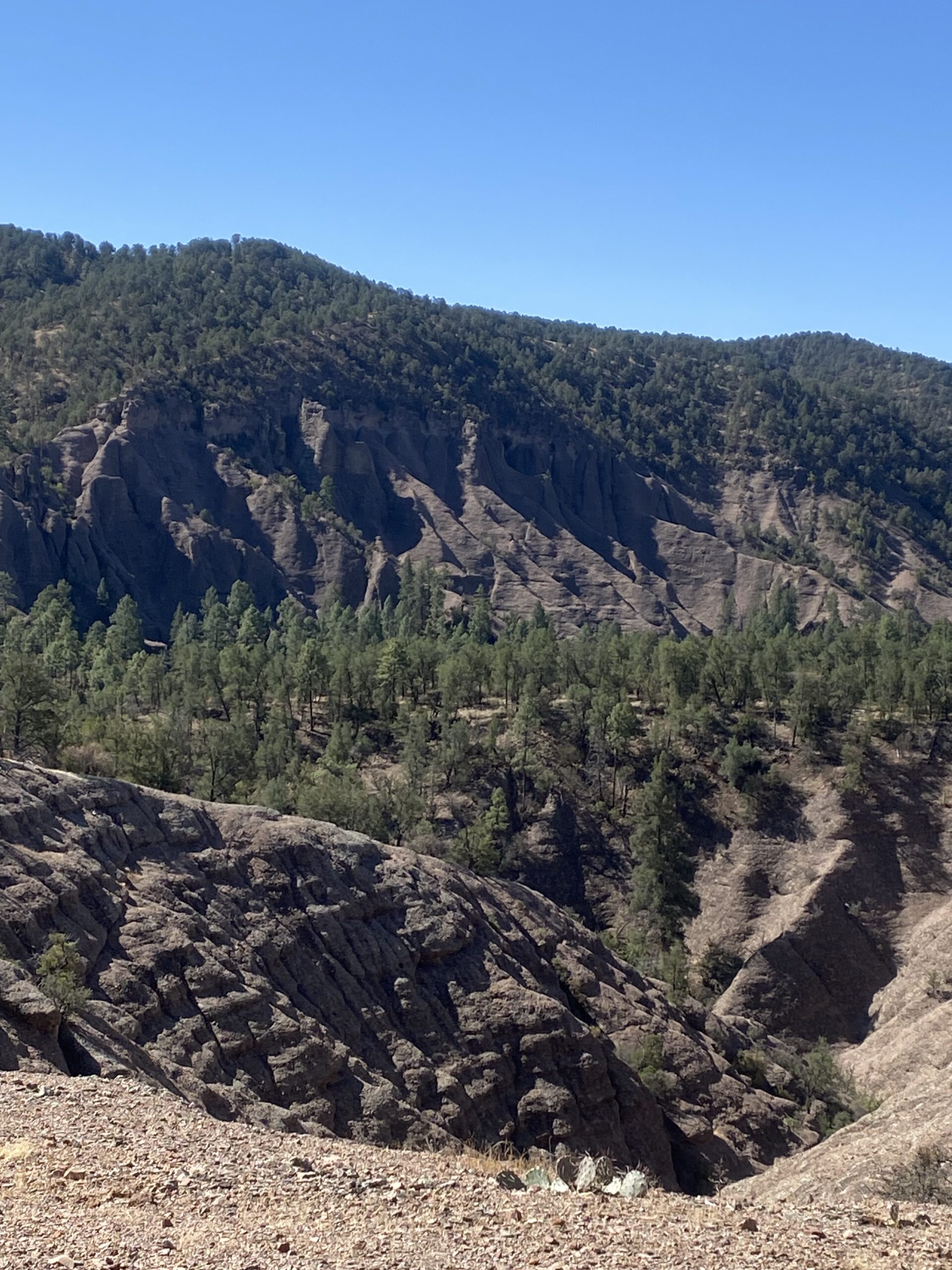 a vast high desert landscape, carved out by water once upon a time, now filled with trees