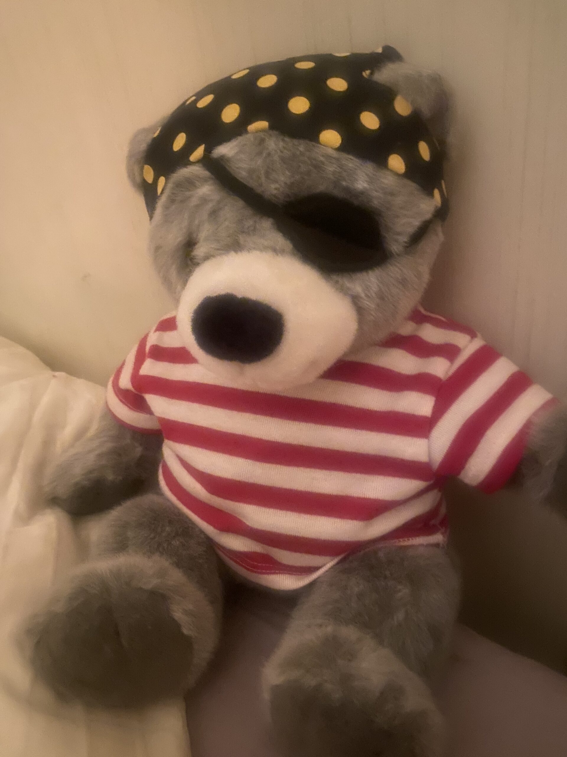 a stuffed toy raccoon wears an eye patch and a red and white striped shirt