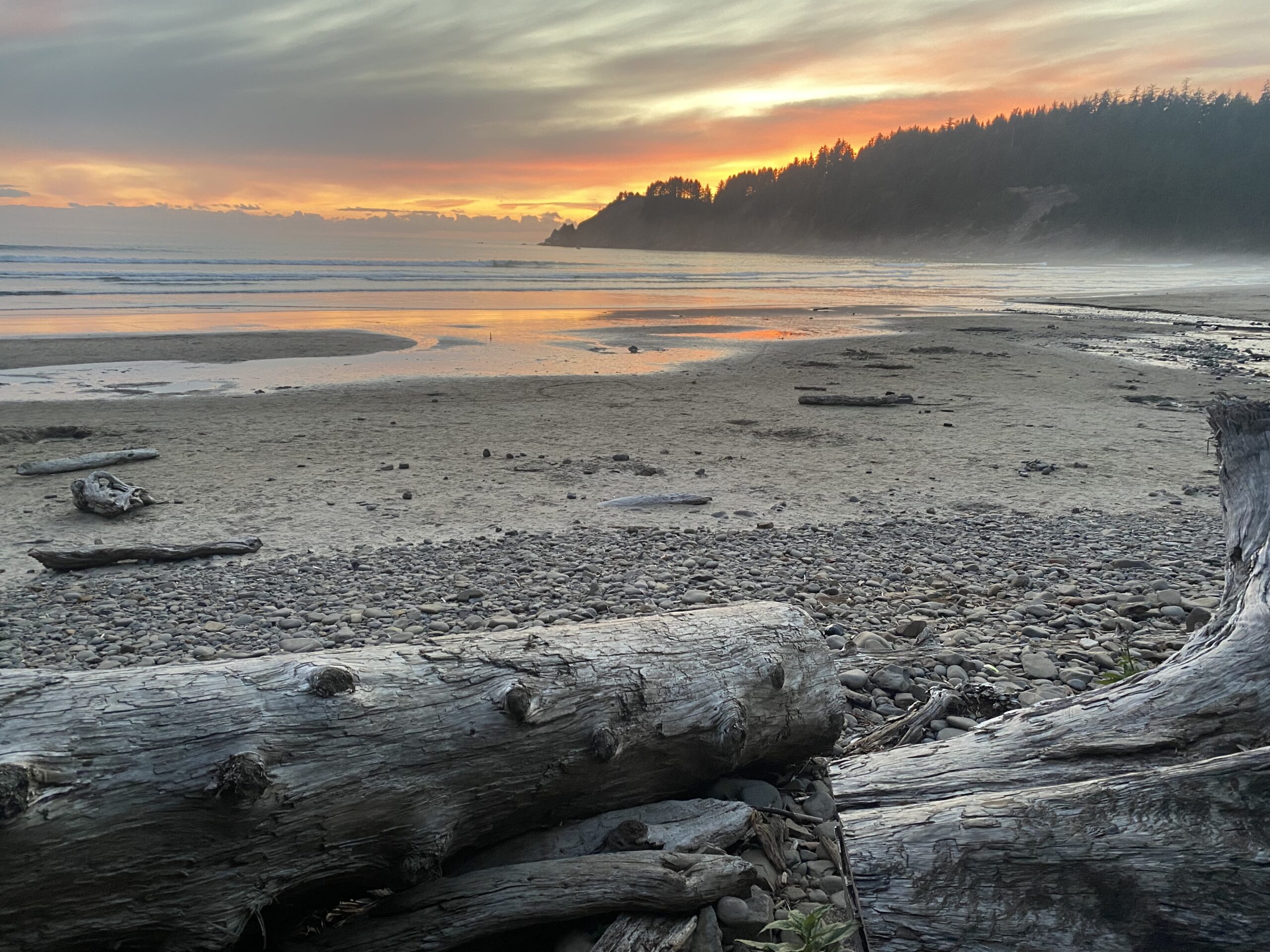 a sweet pastel sunset over the Pacific ocean, a sandy beach, tree logs
