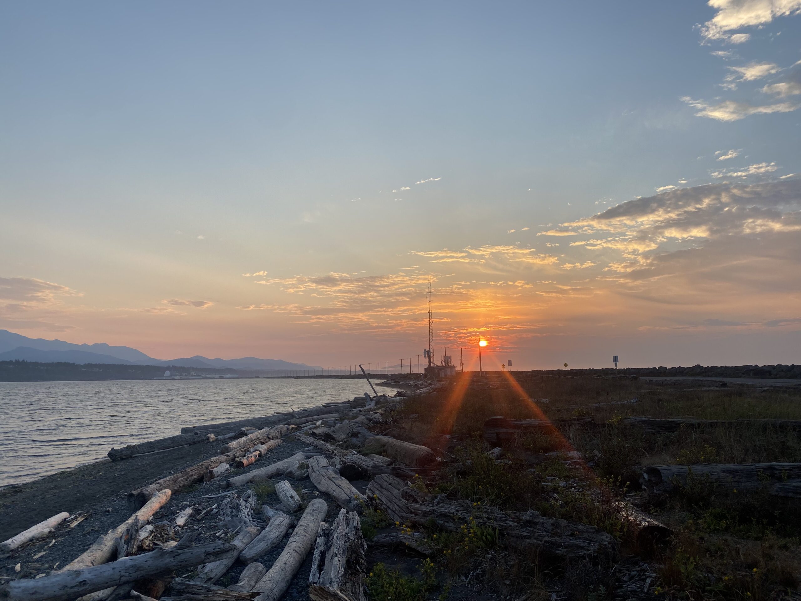 muted sunset over the water, driftwood, high-magic
