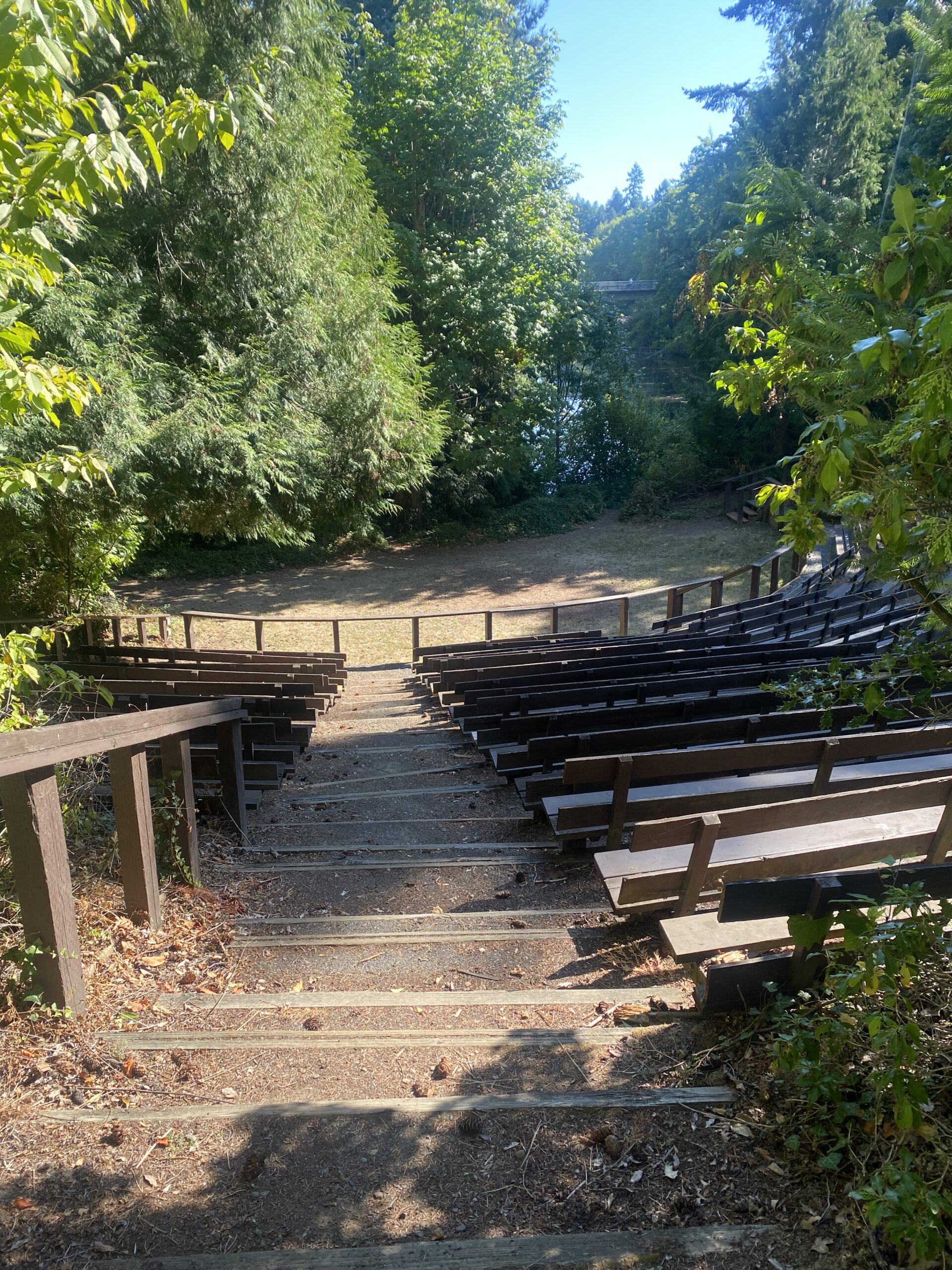 an amphitheater made of wooden beams creating seats in the forest