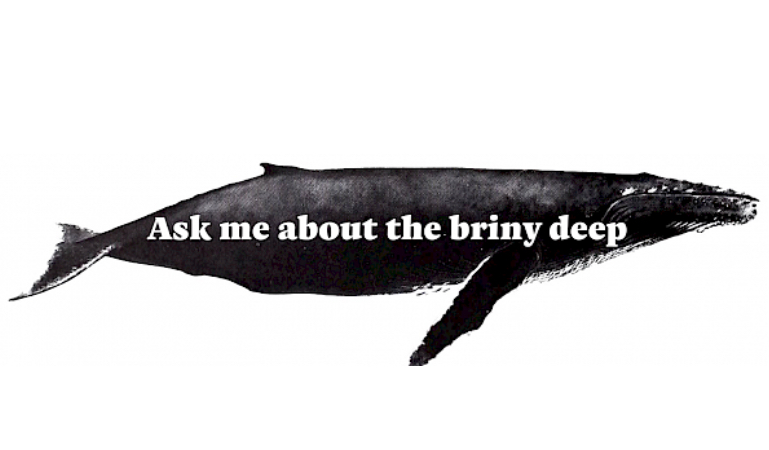ask me about the briny deep sticker illustration of big fish on white background”/></p>
<div class=