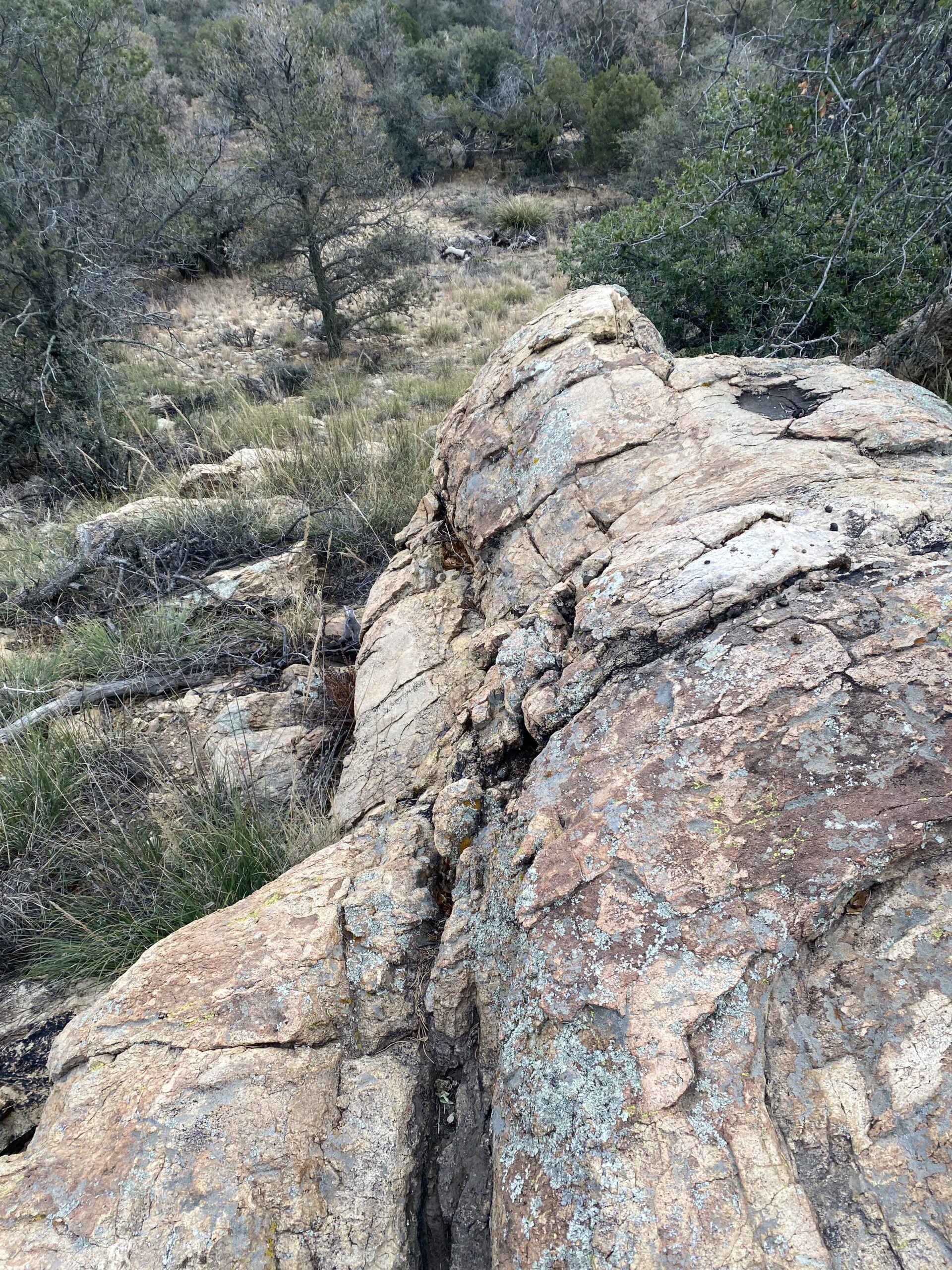 a rocky outcropping on a grey day in the wilderness, juniper trees in the background”/></p>
<div class=